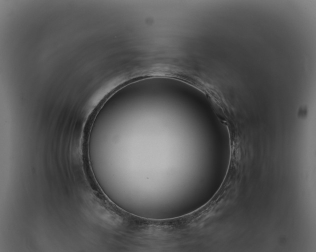 X0000089930292200707061045