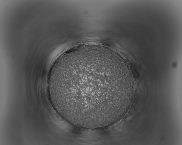 X0000089930293200707061045