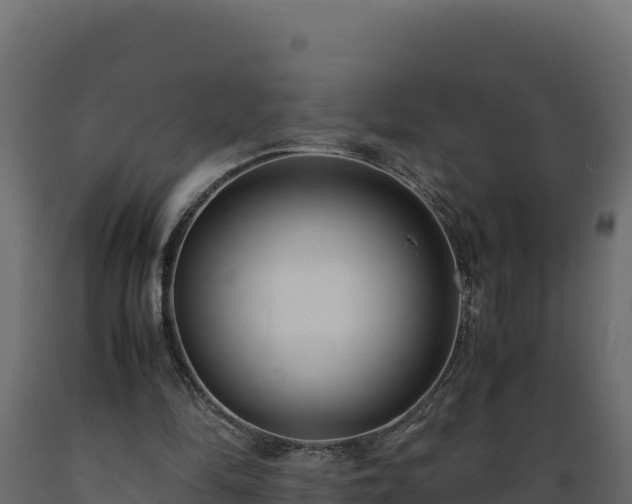 X0000089930294200707061045