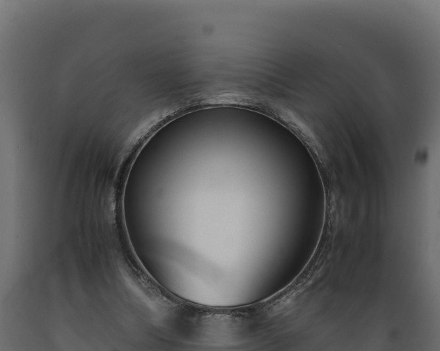 X0000089930298200707061045