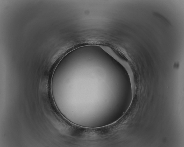 X0000089930299200707061045