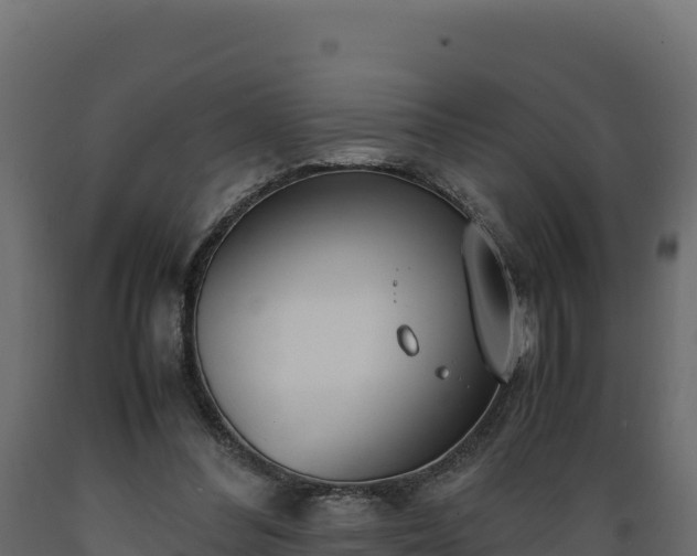 X0000089930300200707061045