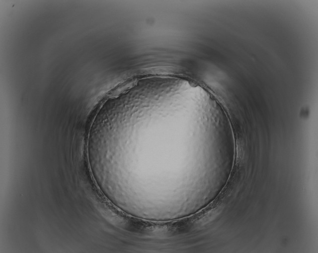 X0000089930301200707061045