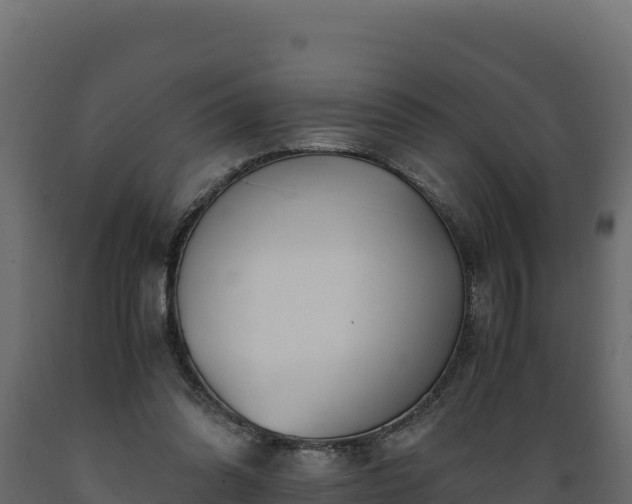 X0000089930302200707061045