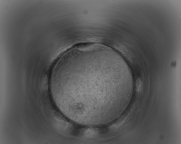 X0000089930303200707061045