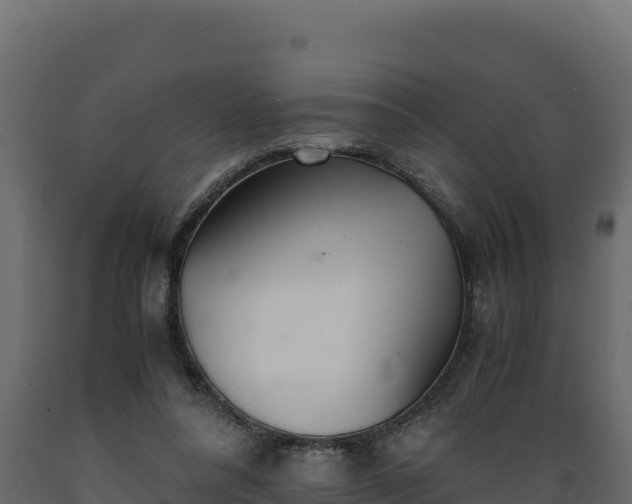 X0000089930304200707061045