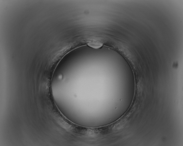 X0000089930305200707061045