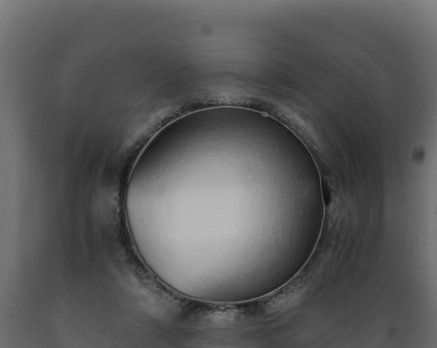 X0000089930306200707061045