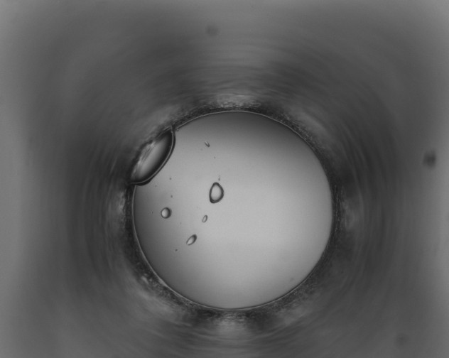 X0000089930308200707061045