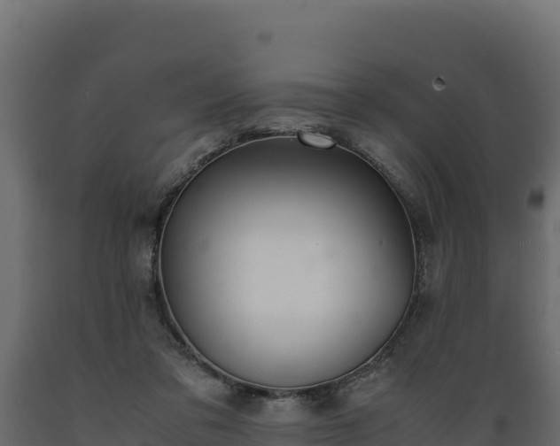 X0000089930309200707061045