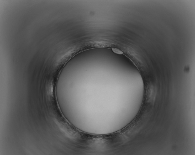 X0000089930310200707061045