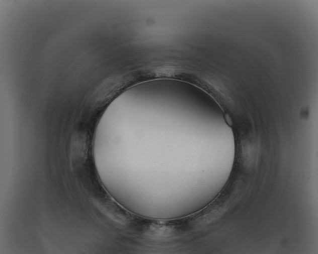 X0000089930311200707061045