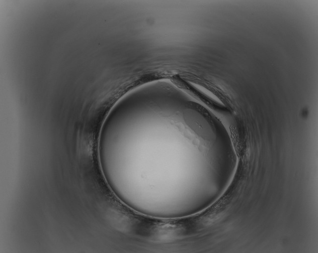 X0000089930315200707061045