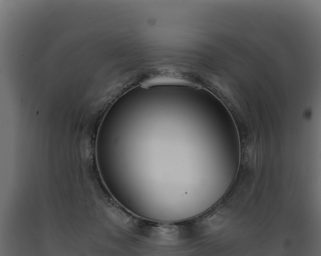 X0000089930317200707061045