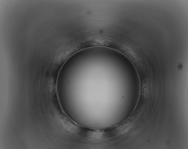 X0000089930318200707061045