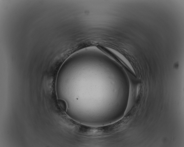 X0000089930319200707061045