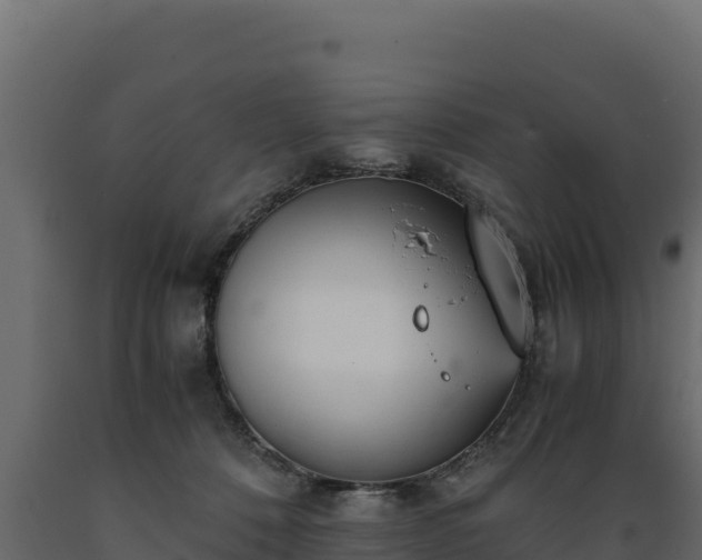 X0000089930320200707061045