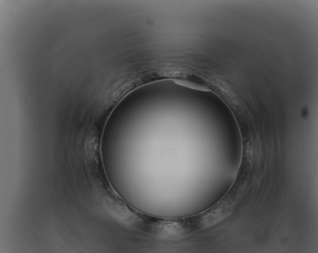 X0000089930322200707061045