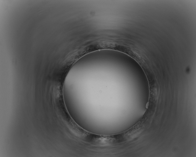 X0000089930323200707061045