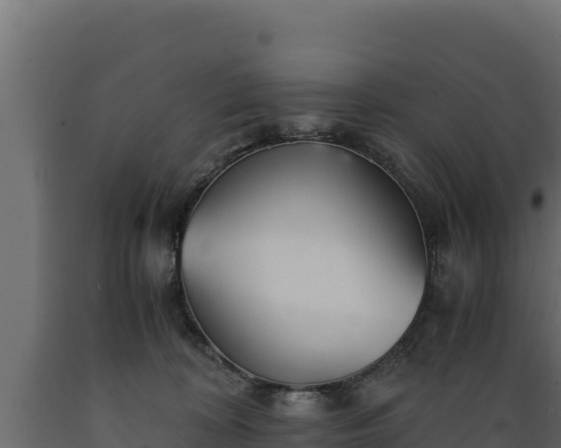 X0000089930324200707061045