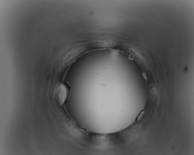 X0000089930325200707061045