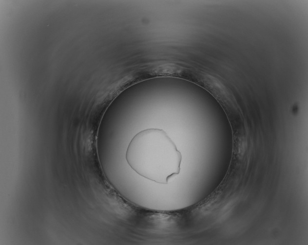 X0000089930326200707061045