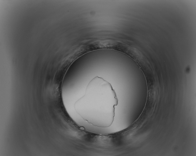 X0000089930327200707061045