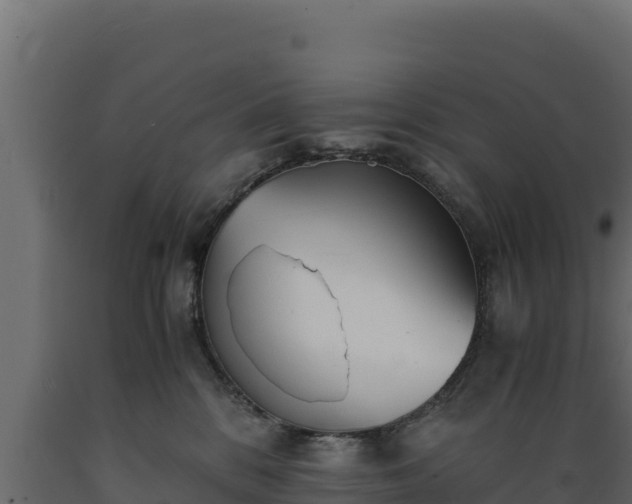 X0000089930328200707061045