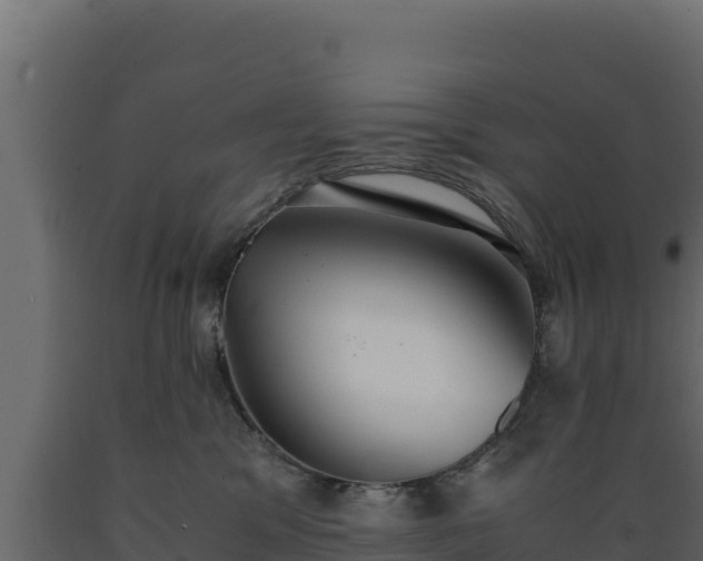 X0000089930329200707061044