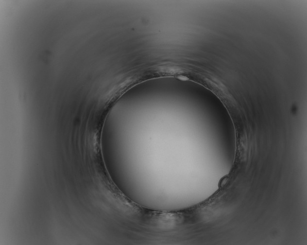 X0000089930330200707061044