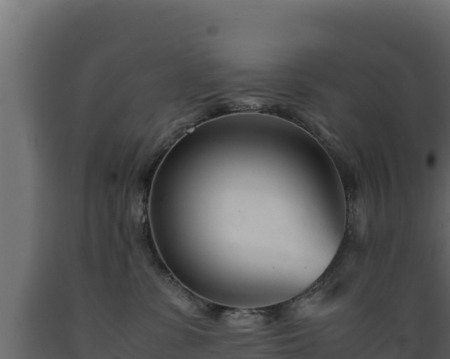 X0000089930331200707061044