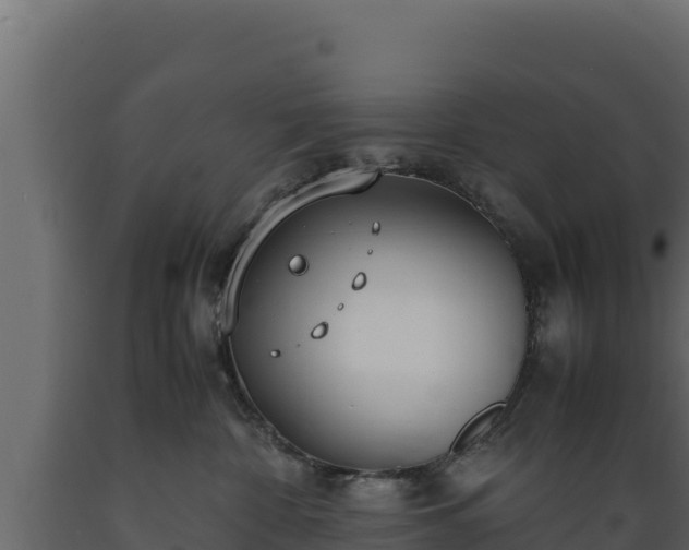 X0000089930332200707061044