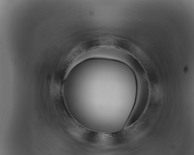 X0000089930333200707061044