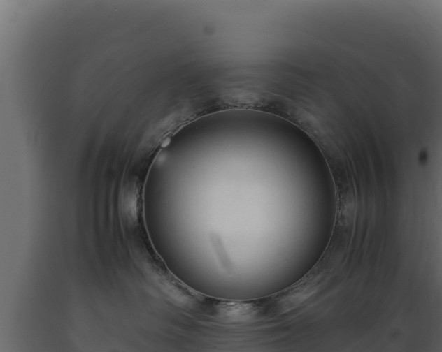 X0000089930334200707061044