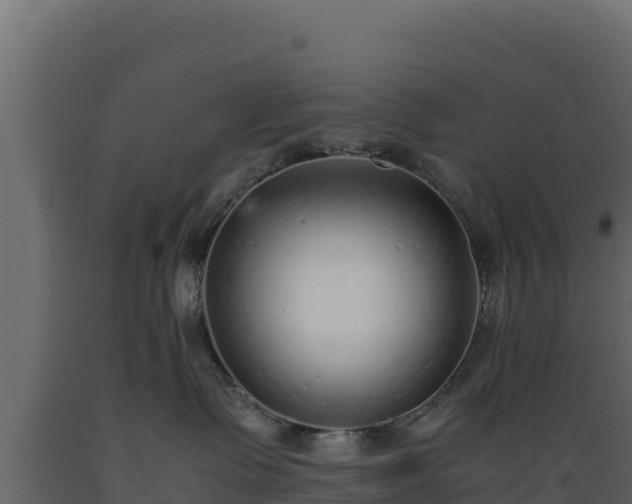 X0000089930335200707061044