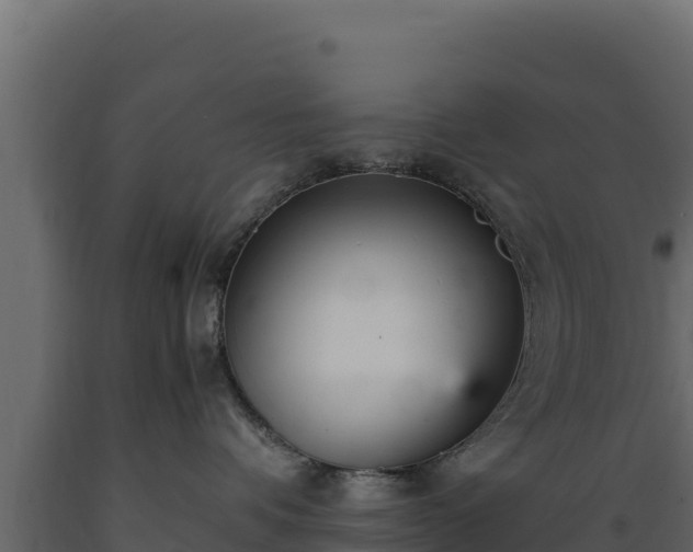 X0000089930336200707061044