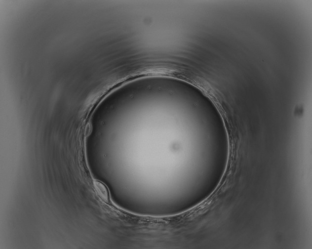 X0000089930337200707061044