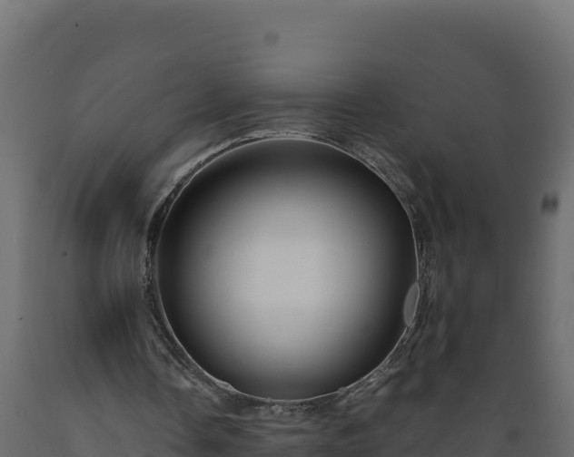 X0000089930338200707061044