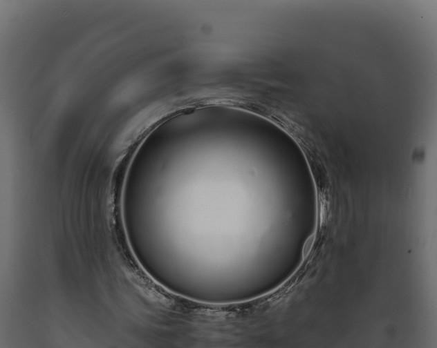 X0000089930339200707061044