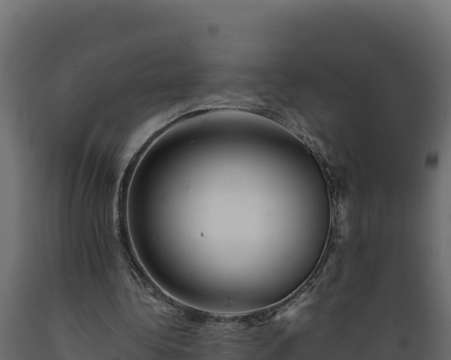 X0000089930340200707061044