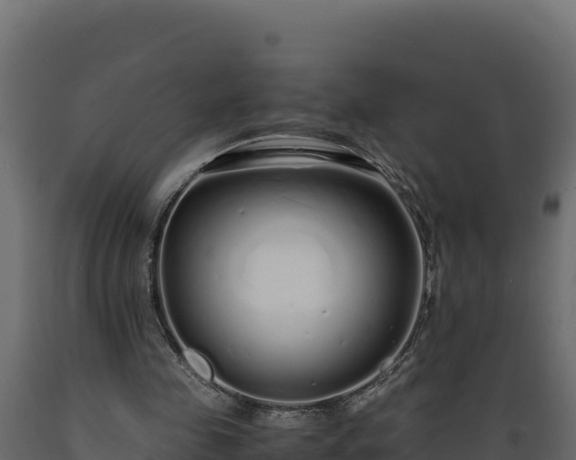 X0000089930341200707061044