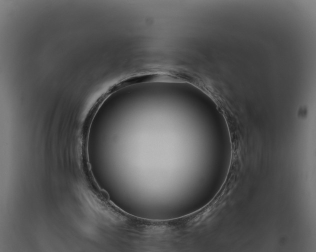 X0000089930342200707061044