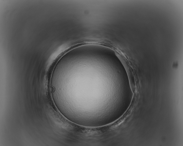 X0000089930343200707061044