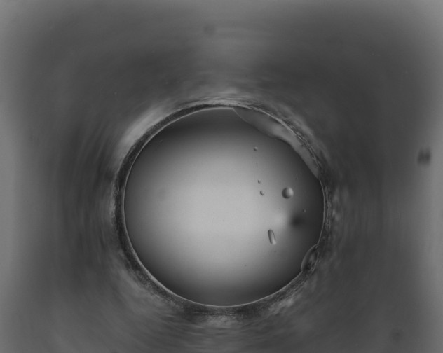 X0000089930344200707061044