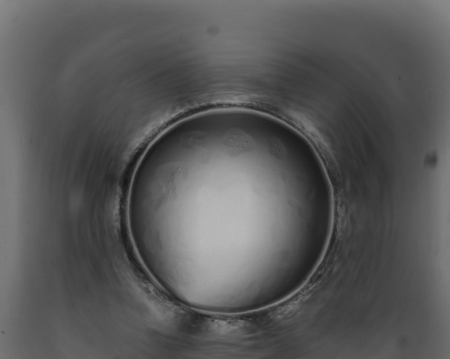 X0000089930346200707061044