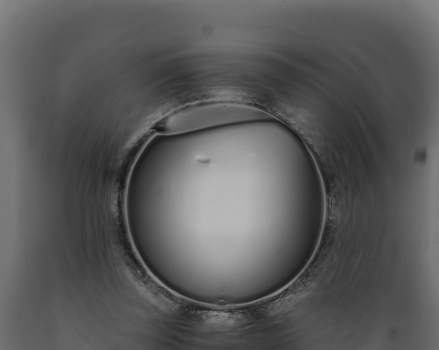 X0000089930347200707061044