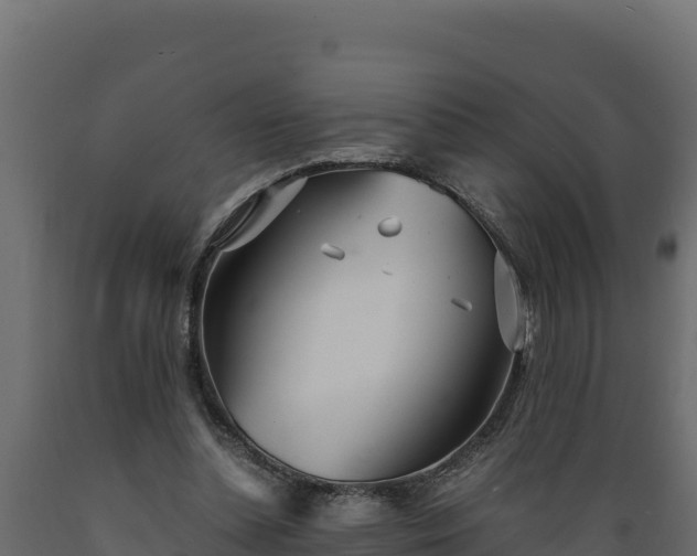 X0000089930348200707061044