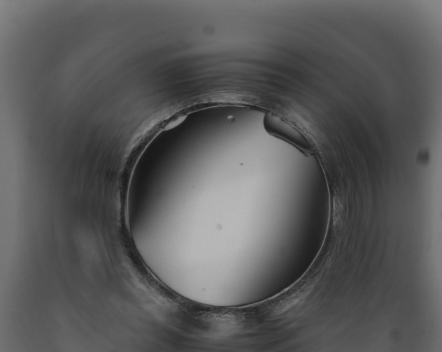 X0000089930349200707061044