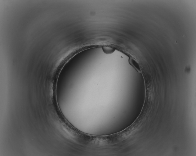 X0000089930350200707061044