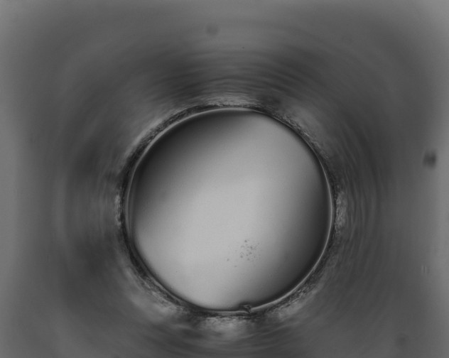 X0000089930351200707061044